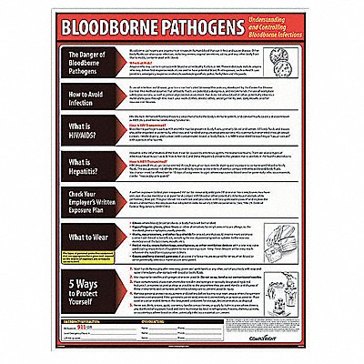 Bloodborne Pathogens Poster English