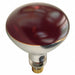 Incandescent Heat Bulb R40 250W