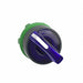 Illum Selector Switch 2 Pos 22mm Blue