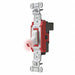 Pilot Wll Switch Wht 20A Back SnglPole