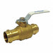 Ball Valve Brass 2-Piece 3/4in 200 psi