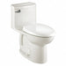Tank Toilet 12 Rough-In Floor Mount