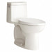 Tank Toilet 12 Rough-In Floor Mount