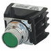 Push Button with Contacts Green Flush