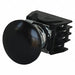Push Button with Contacts Black Mushroom