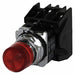 Illuminated Button w/Contacts 120VAC