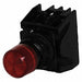 Illuminated Button w/Contacts 24VAC/DC
