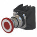 Illuminated Button w/Contacts 120VAC