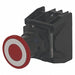 Illuminated Button w/Contacts 120VAC
