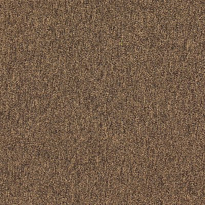 Carpet Tile 19-11/16in. L Coffee PK20