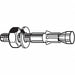 Wedge Anchor 3/8 -16 SS 3/8 in PK10