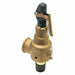 Safety Relief Valve 3/4in.x1in. 15 psi