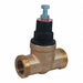 Pressure Regulator 3/4in NPT 400 psi