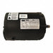 GP Motor 1/3 HP 1 160 RPM 230/460V 56C