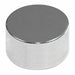 Disc Magnet Neodymium 3/16 in.
