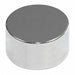 Disc Magnet Neodymium 1/4 in.