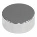 Disc Magnet Neodymium 1/8 in.