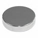 Disc Magnet Neodymium 1/8 in.