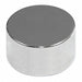 Disc Magnet Neodymium 1/2 in.