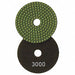 Polishing Pad 4 in Dia 800 Grit