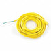 Power Cord