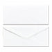 Envelope Plain No 6.75 We 100 PK100