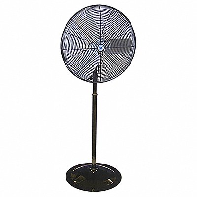 OSHA Pedestal Fan Black 36 