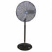OSHA Pedestal Fan Black 36 