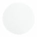 Glass Mic Filter 2.4 cm Dia 1 um PK100