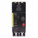 Circuit Breaker 70A 2P TEY 277/480VAC