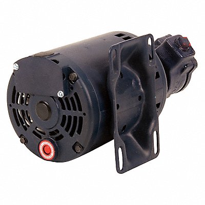 Pump Assembly .3 HP 115/220V 5 gpm