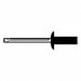 Blind Rivet 1 29/33 L 0.156 dia PK500