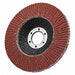 Flap Disc 7 in Dia 7/8 in Arbor 40 Grit