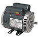 GP Motor 1/2 HP 1 725 RPM 115/230V 56C