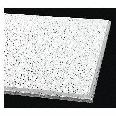 Ceiling Tile 48 in L 24 in W PK10