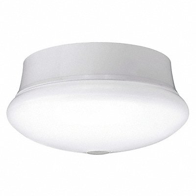 Spin Light w/Motion Sensor LED 7 