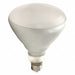 Incandescent Heat Bulb BR40 125W