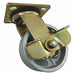 Standard Plate Caster Swivel 1000 lb.