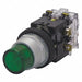 Illuminated Push Button 30mm 120VAC