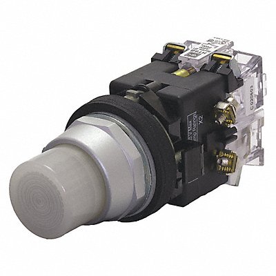 Illuminated Push Button 1NO 24VAC/DC