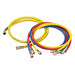 Manifold Hose Set 60 In