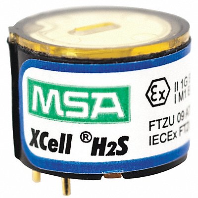 Replacement Sensor Hydrogen Sulfide