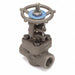 Gate Valve 1 in Carbon Steel