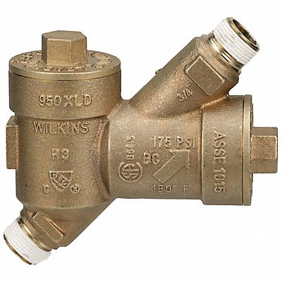 Backflow Preventer 3/4 in FNPT