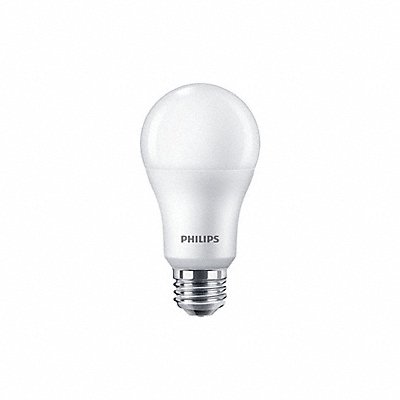 Compact LED Light Bulbs and Lamps