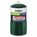 Worthington Disp Propane Cylinder 16.4oz