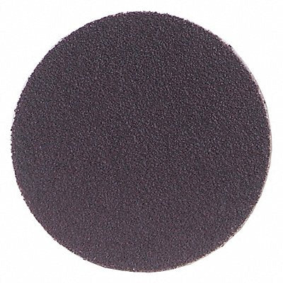 PSA Sanding Disc 12 in Dia 40 G