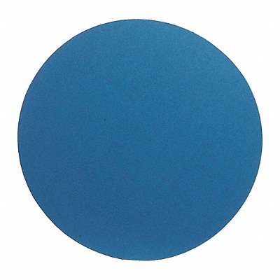 J1134 PSA Sanding Disc 10 in Dia 60 G