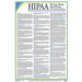 Notice of Privacy Practices Poster 12inH