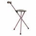 Walking Stick Seat Single 34 H Single